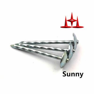 Electric Galvanized Umbrella Head Roofing Nail with Smooth Shank or Screw Shank