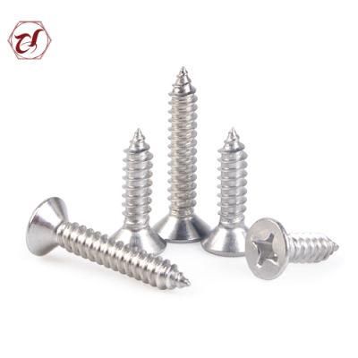 Self Tapping Pan Head Full Thread Stainless Steel 304 Screw A2 Screw Flat Head Screw