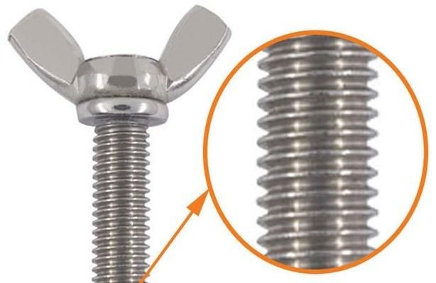 304 Stainless Steel Butterfly Wing Screw Head Thumb Bolt