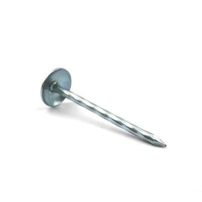 Lowest Price Galvanized Bwg9 Umbrella Head Roofing Nails