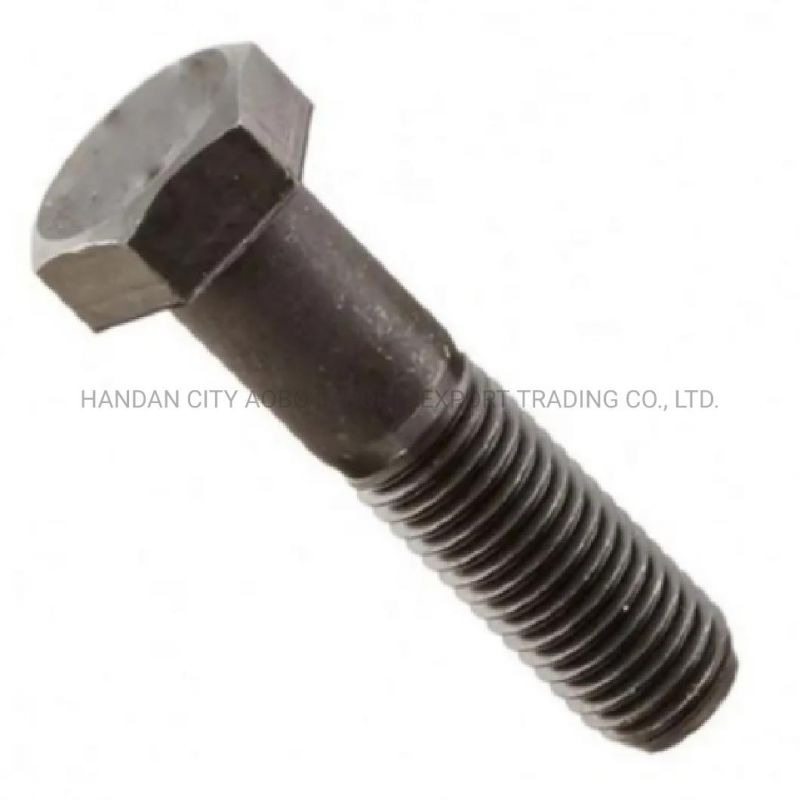 ASME B18.2.1 Hex Bolts Grade 8.8 10.9 Black Oxided Galvanized