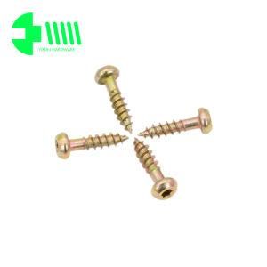 Pan Round Head Torx Drive Self Tapping Screw in Yzp
