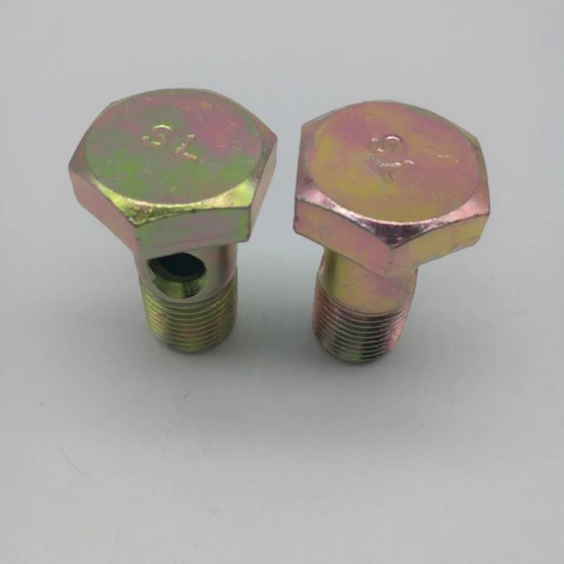 Zinc Plated Bolt Hex Bolt with Hole Hollow Bolt