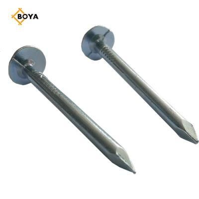 High Quality Hot Dipped Galvanized Clout Nail