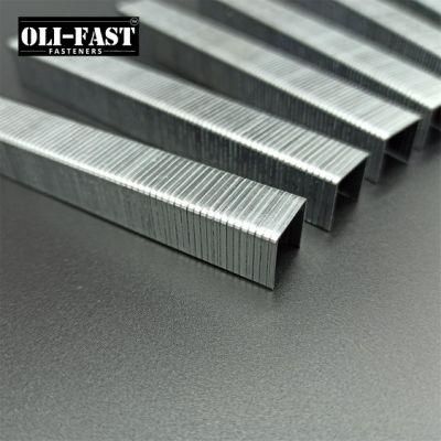 20ga 95/12mm Galvanized Staples with Premium Quality