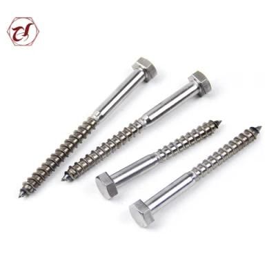 Common Bolt DIN571 Stainless Steel A4 Lag Coach Screw
