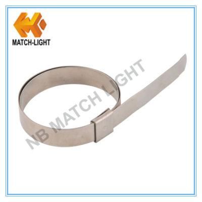 Ss201 Center Punch Stainless Hose Clamps for Water Hose
