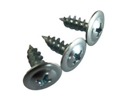 Truss Head and Phillip Recess Self Tapping Screw C1022 Steel Harden