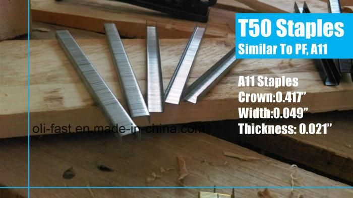 20ga A11 Staples, Arrow T50 Staples, 3/8" Flat Crown, for All T50 and T55 Arrow Tackers