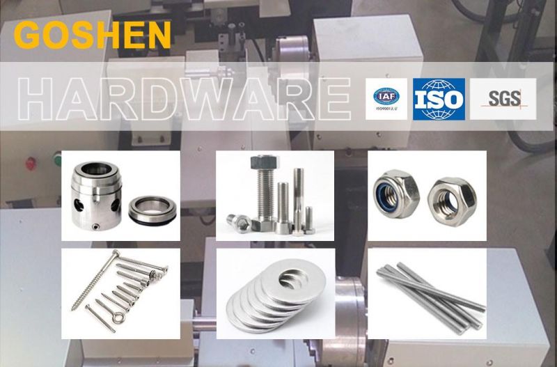 T Bolt SUS304 A2-70 1.4301 Stainless Steel T-Bolt Fasteners and Inner Torx, Slotted at The Bottom