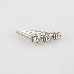 Stainless Steel Stl Philps Pan Sems Screws with Washer