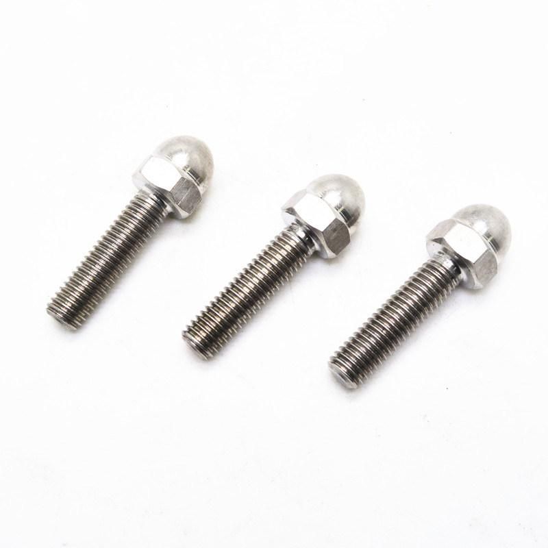 SS316 M10 Round Head Bolt Dome Bolt