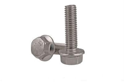 Hardware Hexagon Head Flange Bolts Titanium Screws