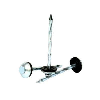 Zinc Plated Umbrella Head Roofing Nail with Rubber Washer
