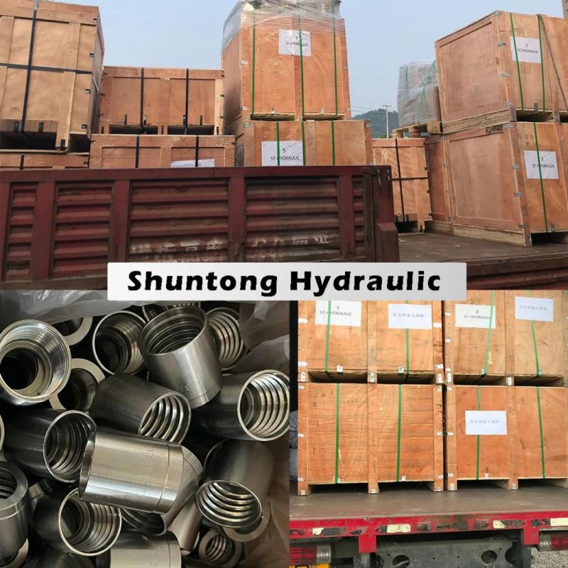 Hydraulic Ferrule Hose Fitting Coupling Adapter Fitting Hydraulic Fitting