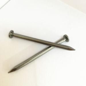 Lower Price Common Iron Steel Nails