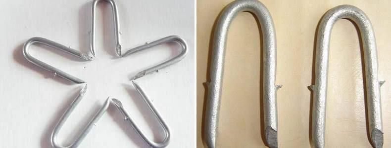 Galvanized Fence Staple U Nail with Best Price