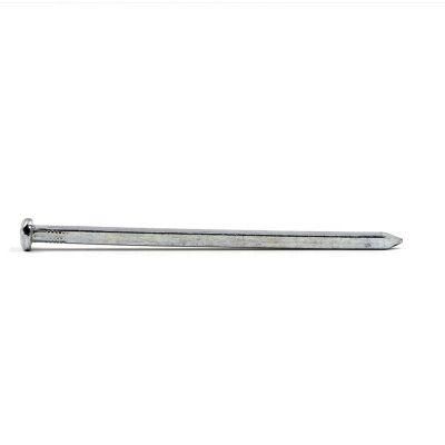 Electro Galvanized Square Boat Nail for Construction