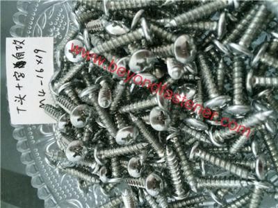 Self Tapping Screw/ Truss Head Screw Philips Screw /Self Drilling Screw