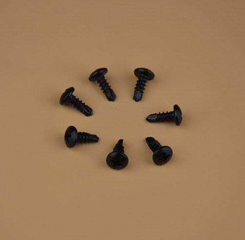 Screw/ Self Tapping Screw/ Cutting Point Screw Bolts/Self Drilling Screw