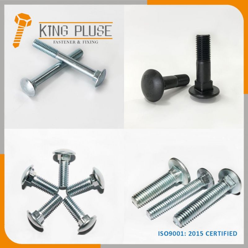 Hex Bolt/Carriage Bolt/Anchor Bolt/Flange Bolt/T Bolt/Square Head Bolt/Hex Socket Cap Screw/Square Bolt/Wing Bolt/Eye Bolt/Knurled Bolt/U Bolt/Hex Cap Screw