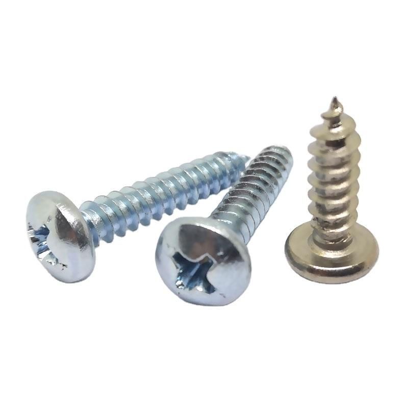 Phil and Slotted Pan Head Self Tapping Screw