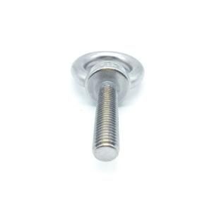 High Quality Drop Forged DIN580 Lifting Eye Bolt