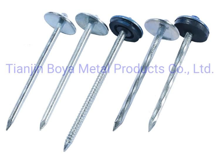 Popular Bwg9*2.5" Smooth Shank Umbrella Head Twist Roofing Iron Nail