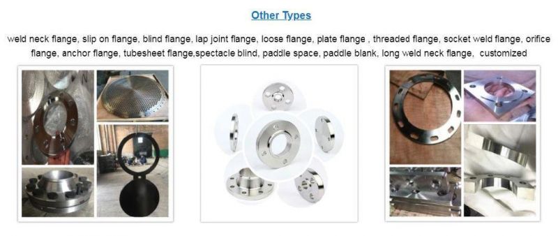 OEM Customized Forged Stainless Steel Welding Neck Raised Face Flange