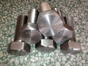 Duplex2205/S31803.2507/S32750 Stainless Steel Fastener Bolts and Nuts