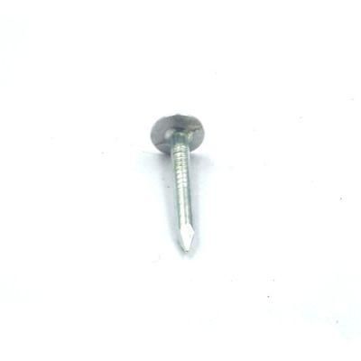 5/8 in. X 11 Gauge Smooth Shank Eg Roofing Nails for Asphalt Shingles