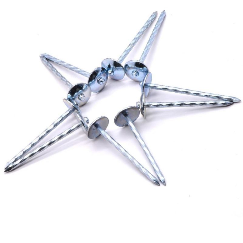Chinese Factory Supply Umbrella Head Roofing Nails Construction Low Price Galvanized Roofing Nails