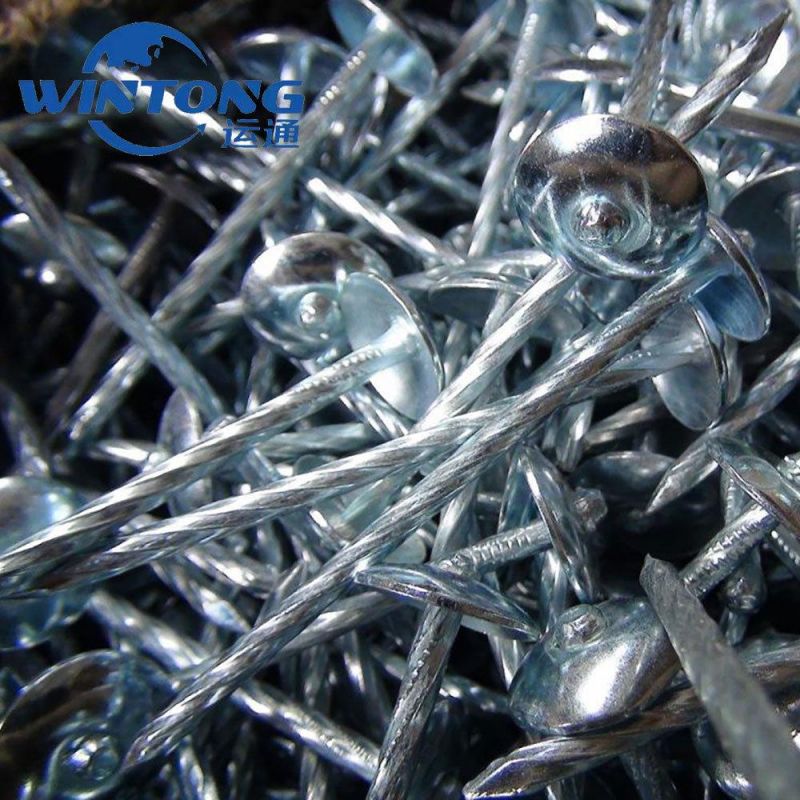 Roofing Nail with Electric Galvanizing/ Bwg9 X 2.5roofing Nail