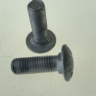 Guard Rail Bolt H. D. G. Round Head Bolts/Railway Track Bolt