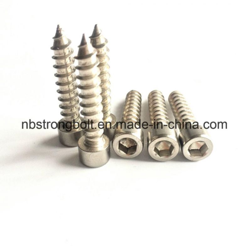 Self Tapping Screw, Socket Head Self Tapping Screw