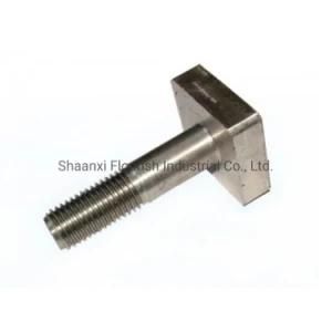 Square Head Screw/Bolt