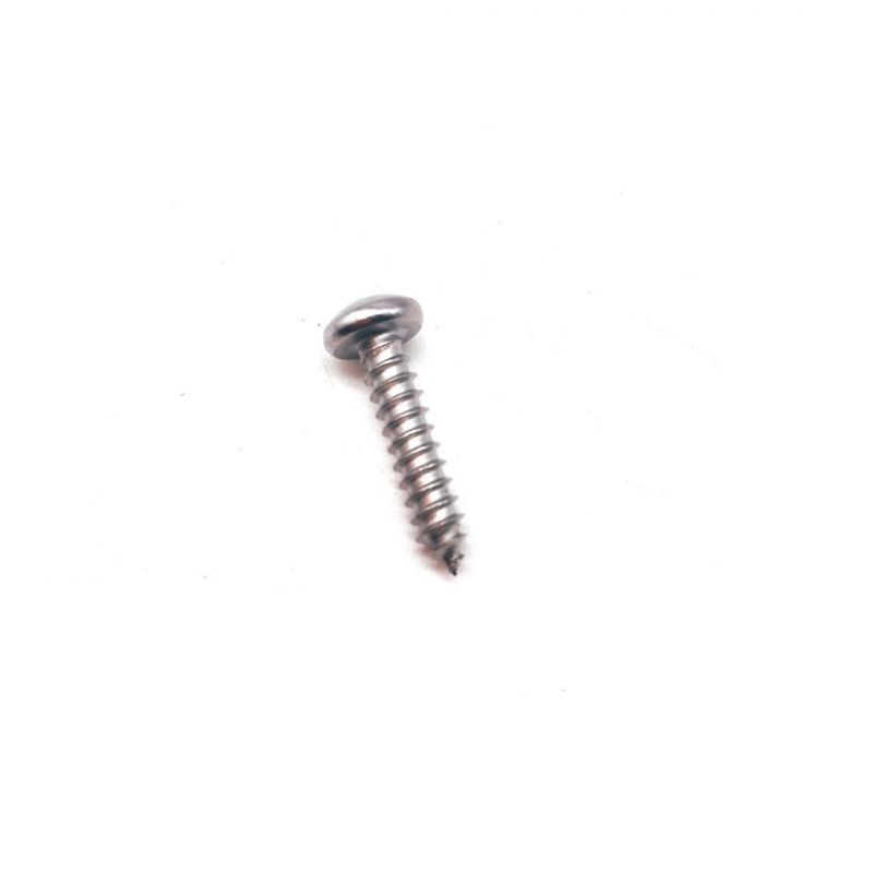 Jiaxing Haina Stainless/Carbon Steel Truss Head Self Tapping Screw