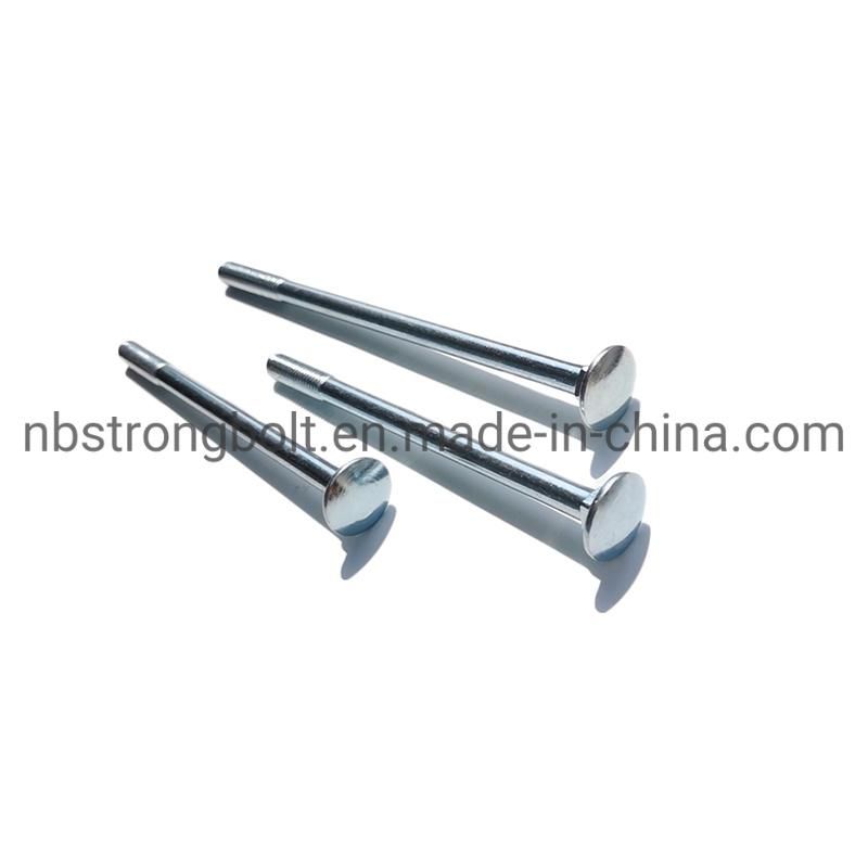 Carriage Bolt with Zinc