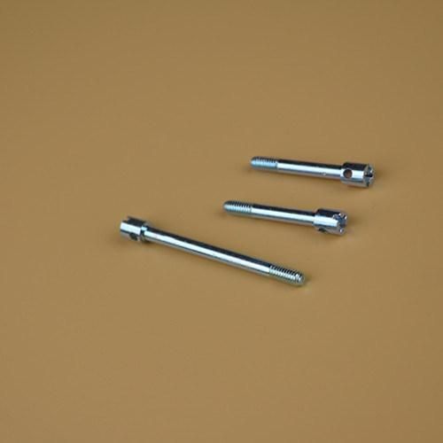 Step Screw Big Head Screw/Step Bolts/Special Bolts