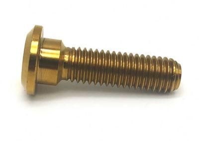 Hex Socket Bolt Titanium Screws for Bicycle