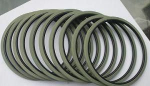 Polytetrafluoroethylene Glyd Ring From China Supplier