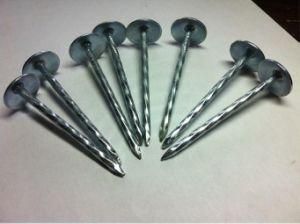 Galvanized Roofing Nail with Umbrella Head