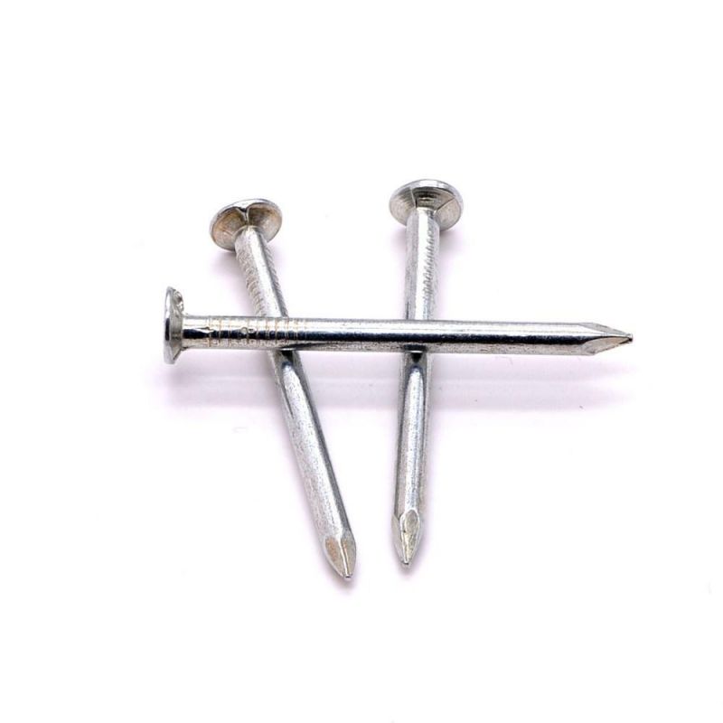 Hot Sell Chinese Factory Top Quality Concrete Nails 2inch Steel Nails for Concrete