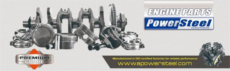 Engine Gasket