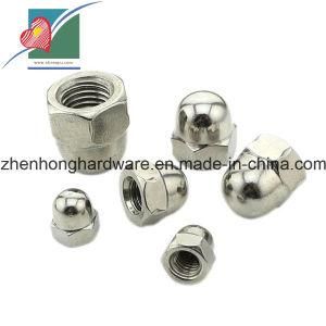 Small Hardware Fastener Stainless Steel Round Head Nut