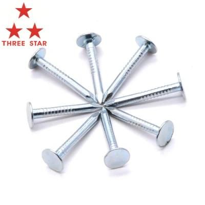 Flat Head Roofing Nails Hot Dipped Galvanized Clout Head Nail