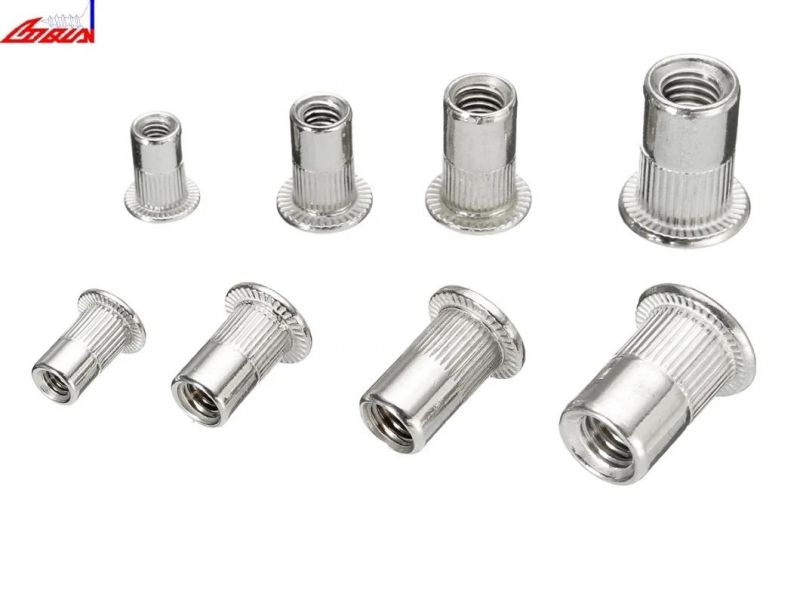 Aluminum Rivet Solid Rivet High Quality Rivet Cylindrical Rivet Hollow Rivet