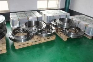 Custom Made High Quality Forged Stainless Steel Rotating Flange
