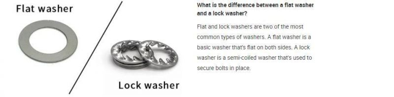 China Manufacturing Wholesale Price High Quality Stainless Steel SS304 SS316 Carbon Steel Washer DIN125 DIN9021 DIN433 F436 DIN7989 Flat Washer