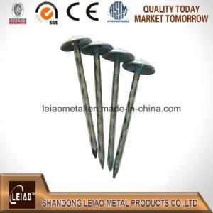 Hotsale Galvanized Umbrella Head Roofing Nails